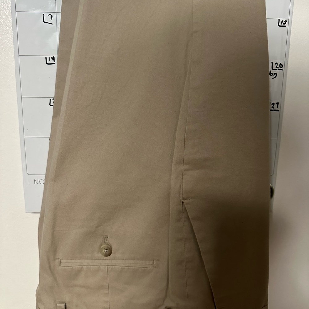 Express Dress Pants